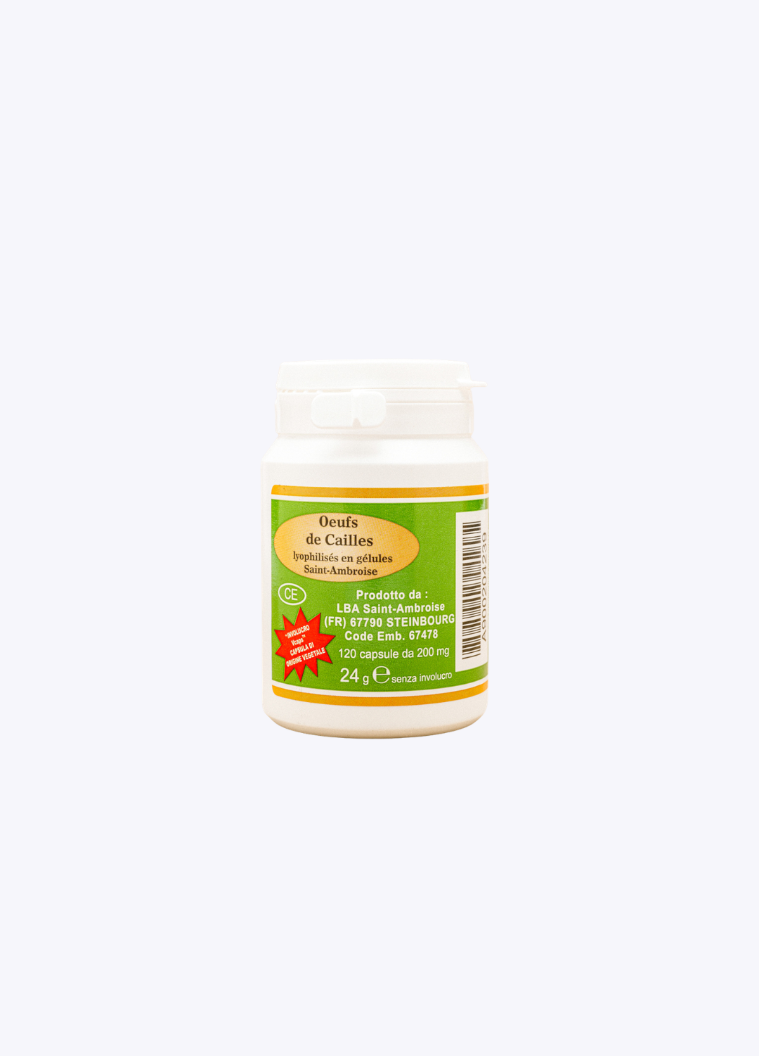 25_13f9e55b-f7a6-48a2-a4db-2df6482175d4.png