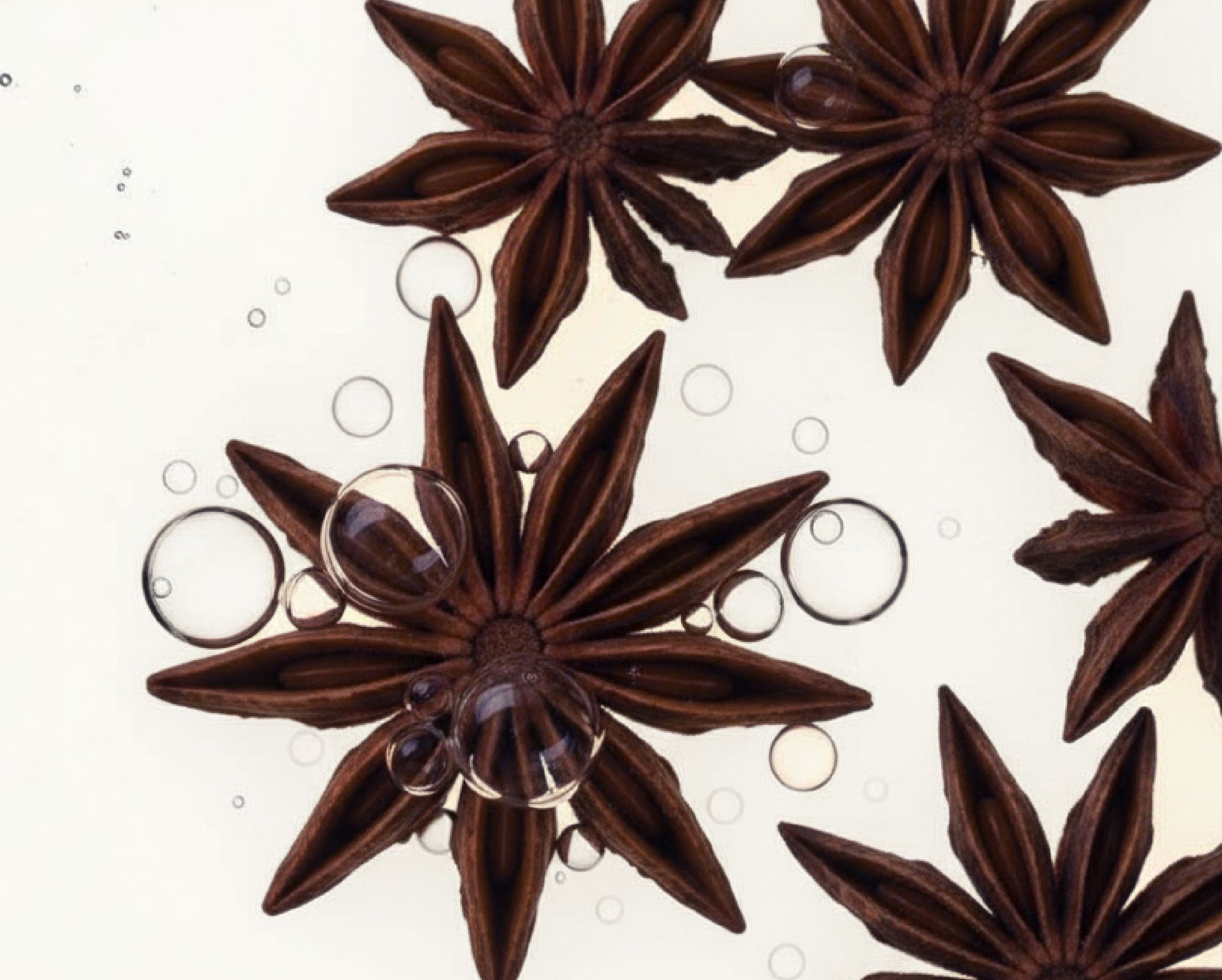  Olio Essenziale di Anice