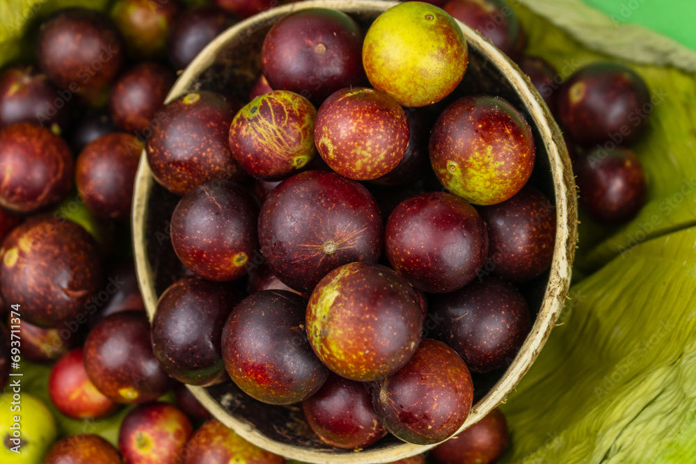 CAMU CAMU