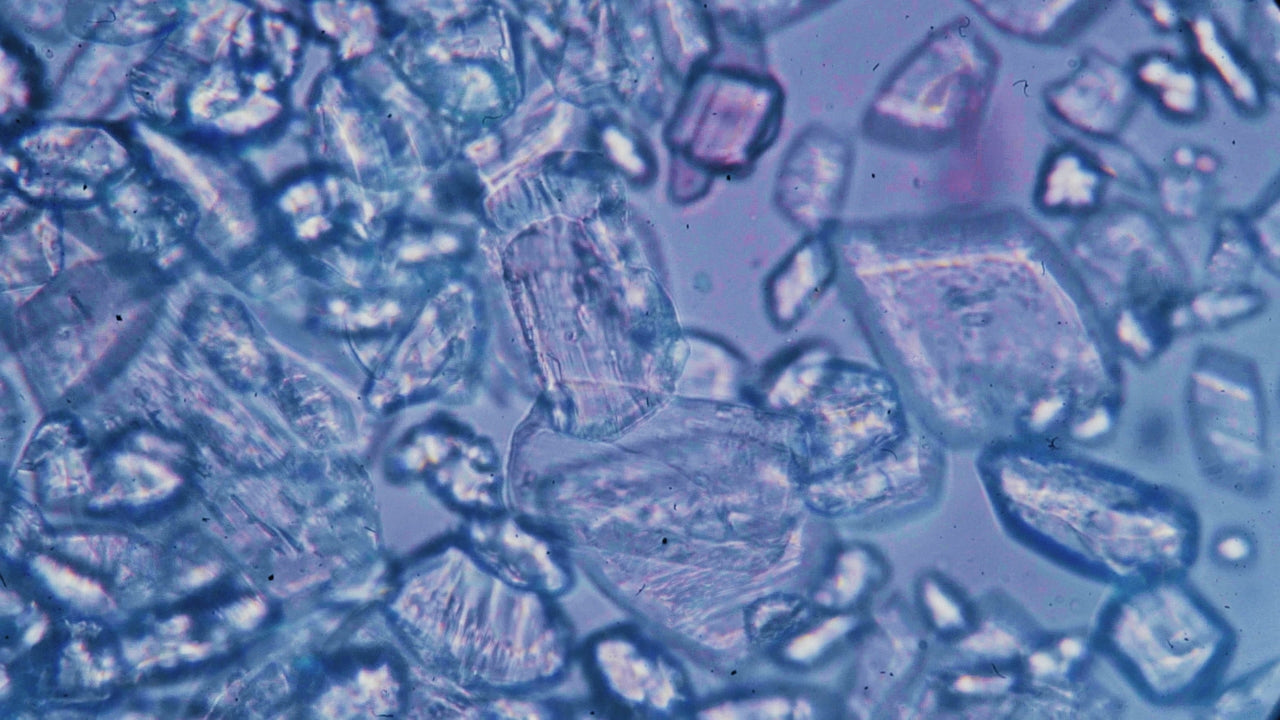 PROBIOTICI PER LA PELLE