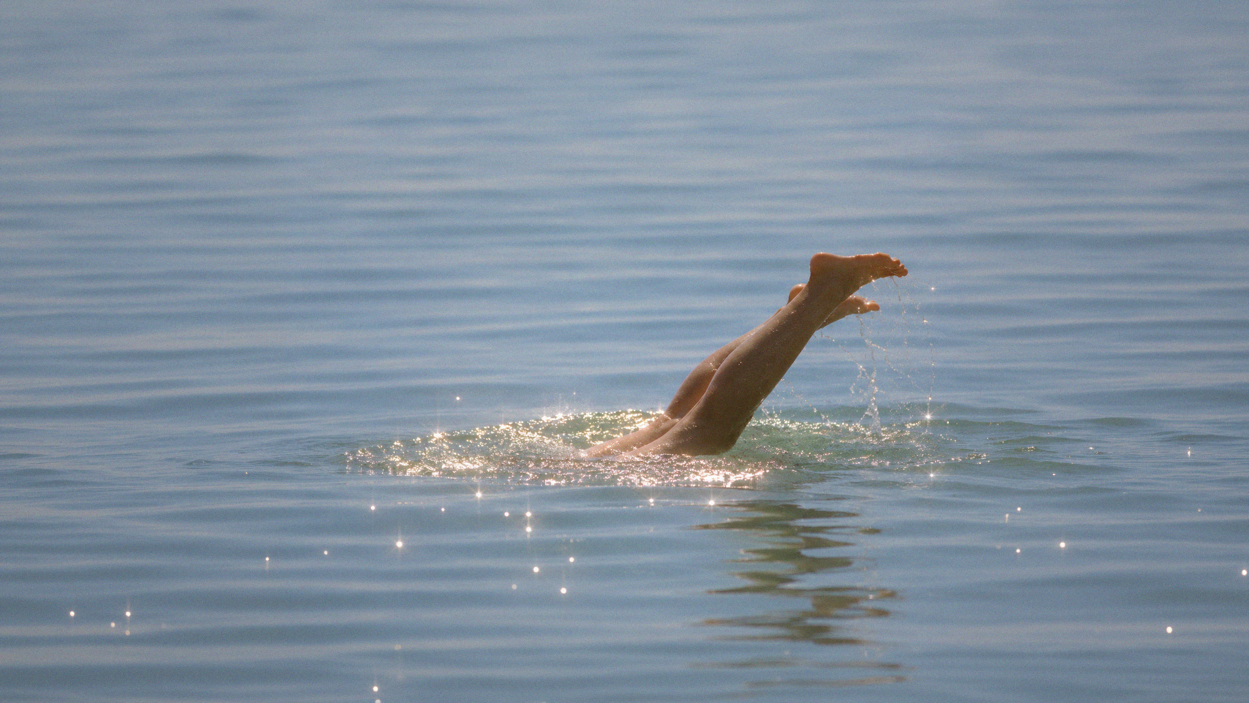 Ocean_Swim.png