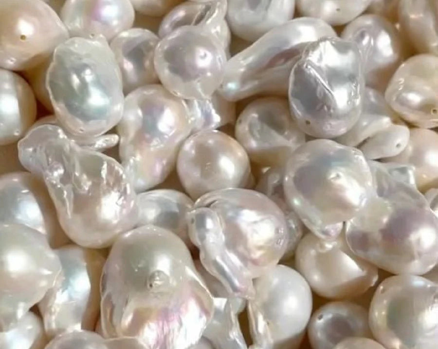 Polvere di perla + Zinco organico