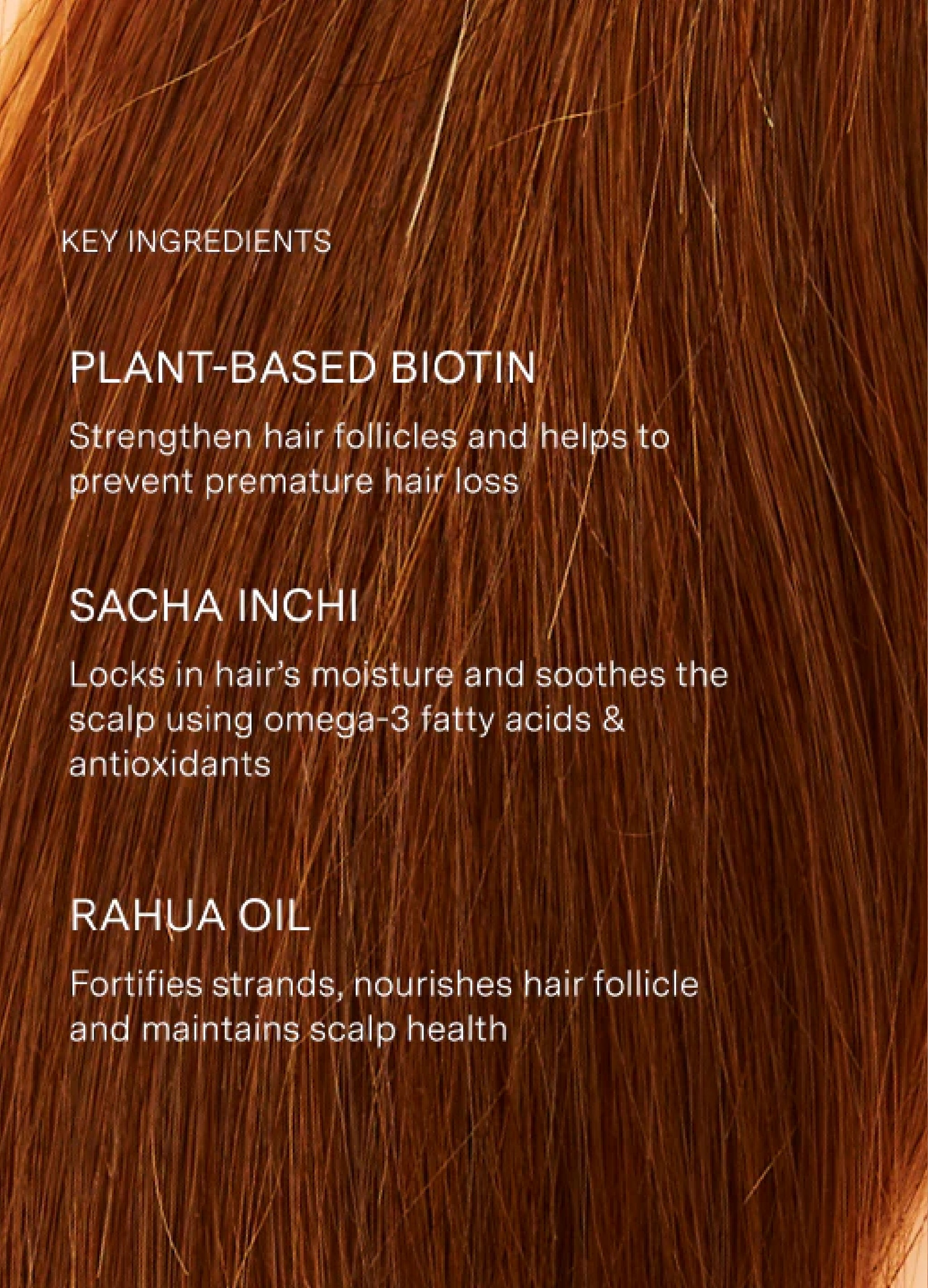 Enchanted Island Shampoo