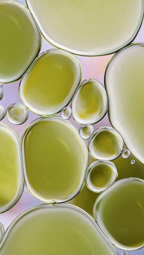 LINFA DI BETULLA E ACERO