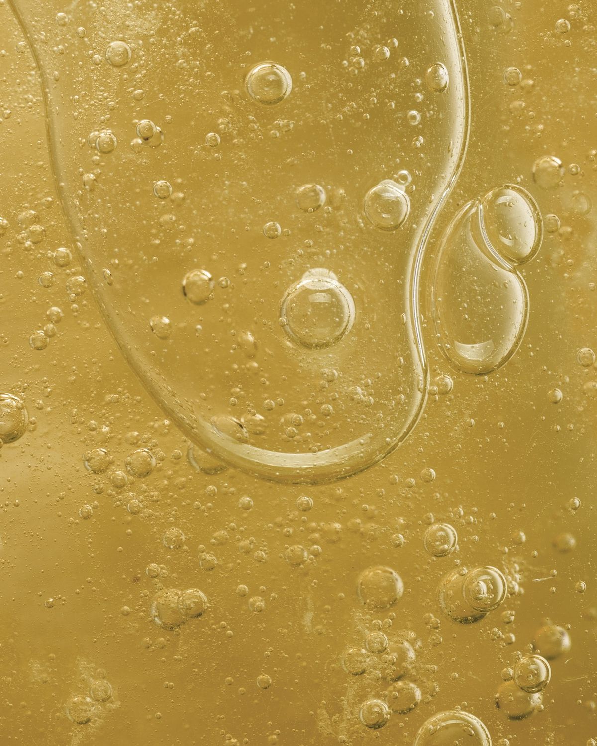 Cedro dell’Atlante